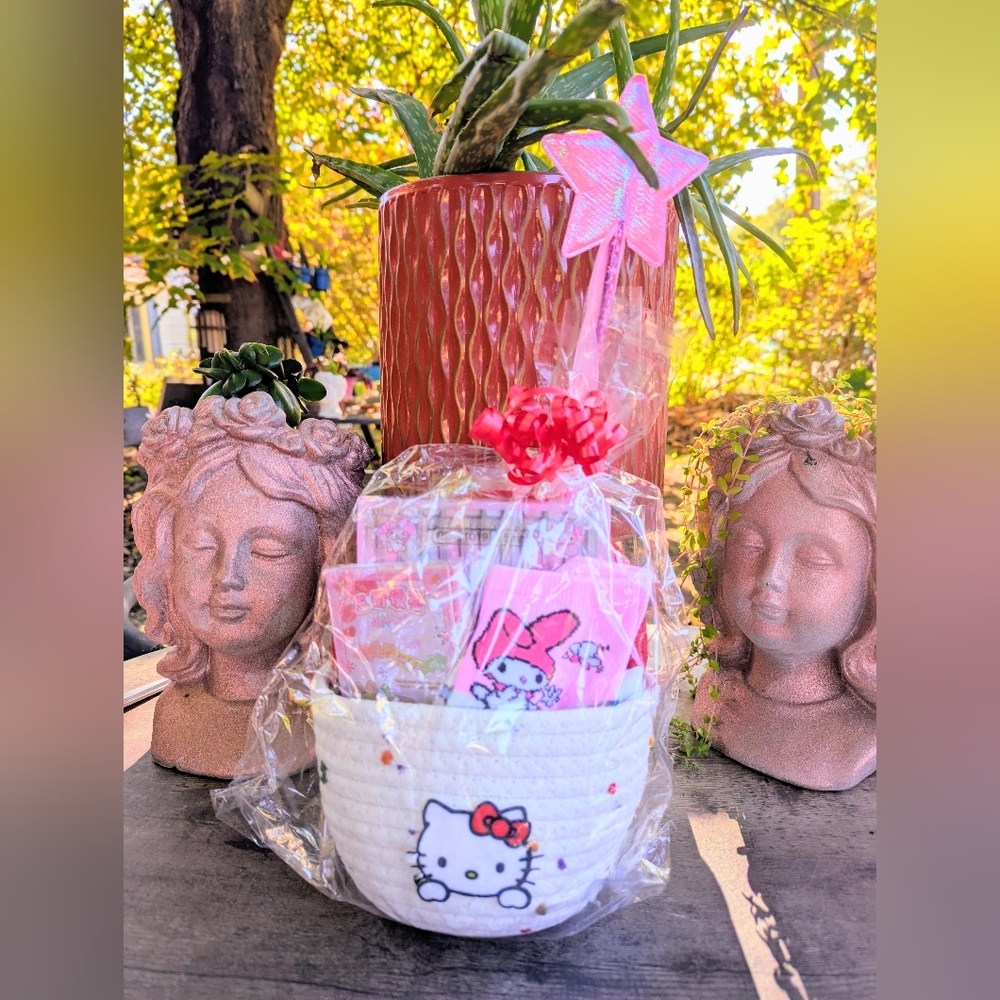 NWT 🩷 SANRIO GIFT BUNDLE 🩷 in 🎀 HELLO KITTY soft BASKET 🎀 MY MELODY $55 R!